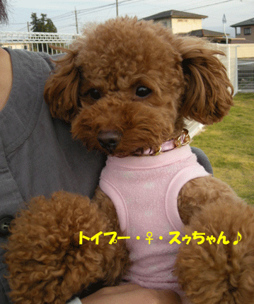 e0066883_21174838.gif
