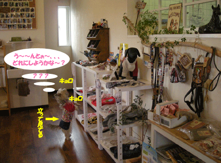 e0066883_21223961.gif