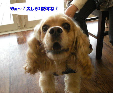 e0066883_21283387.gif