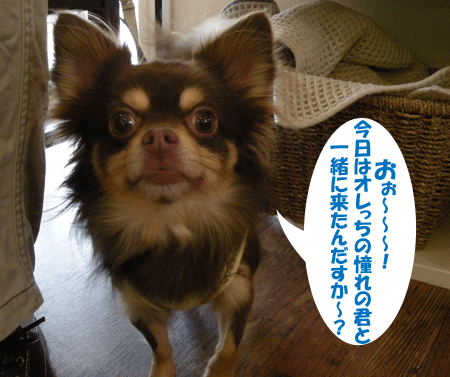 e0066883_2129873.gif
