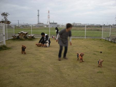 e0066883_2132249.gif