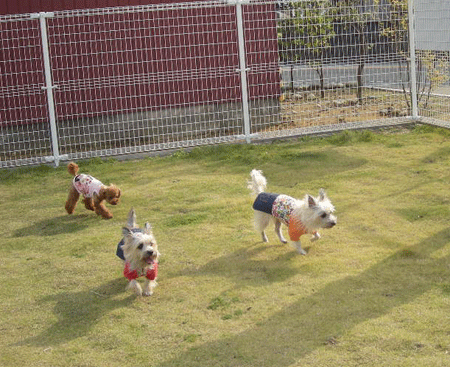 e0066883_2141237.gif