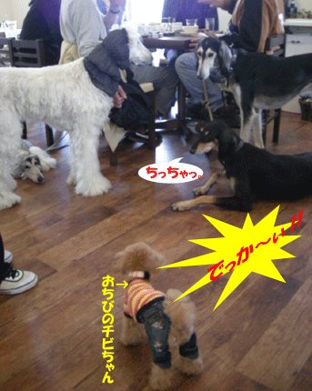 e0066883_21415930.gif