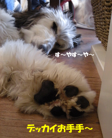 e0066883_21453528.gif