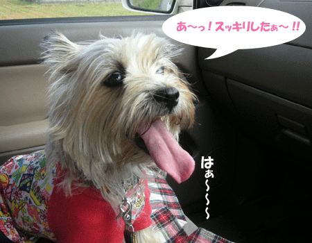 e0066883_2164490.gif