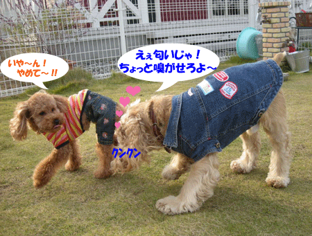 e0066883_220245.gif