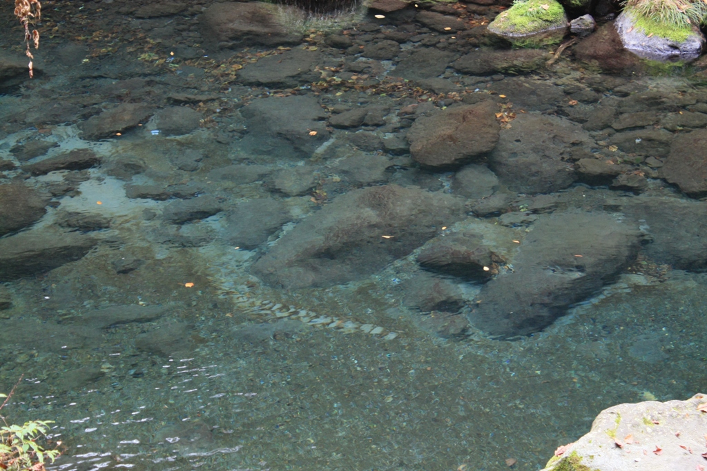e0151486_16105746.jpg