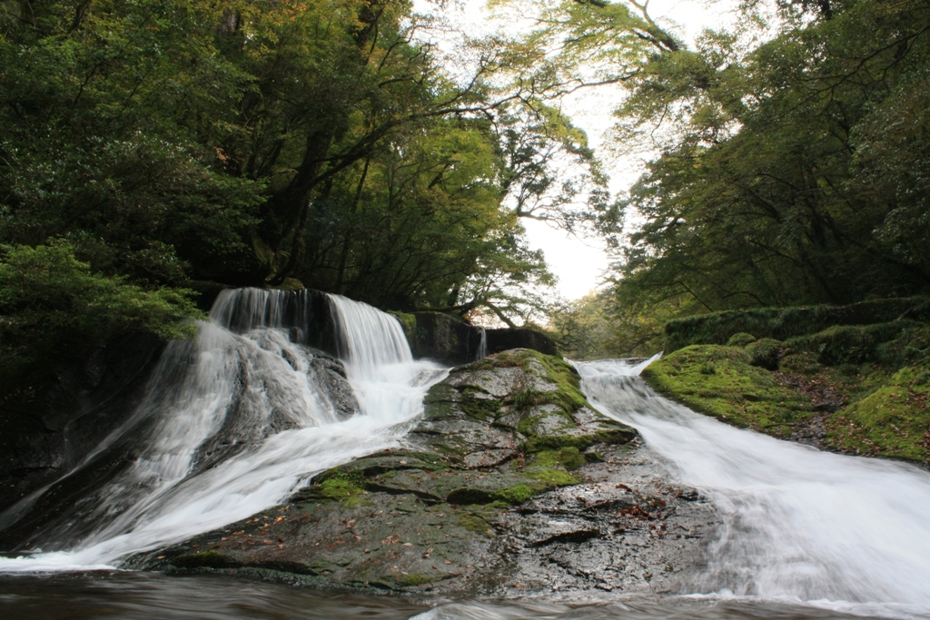 e0151486_168388.jpg