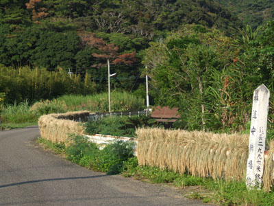 e0028387_1844360.jpg