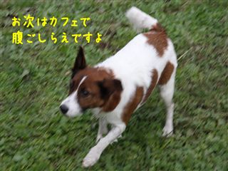 e0121589_2215258.jpg
