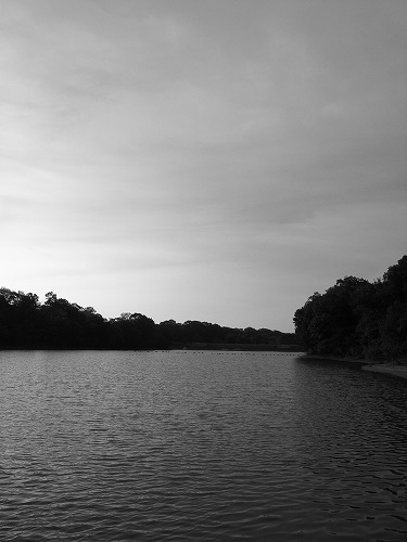b0119493_19181196.jpg