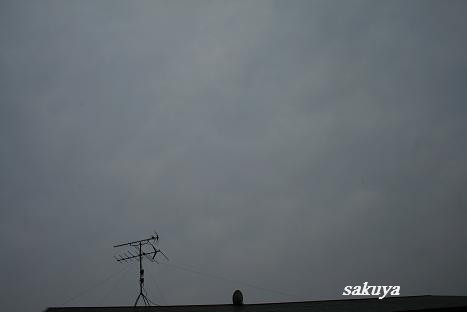 e0122194_2175587.jpg