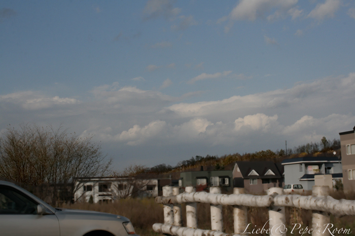 f0001895_2043373.jpg