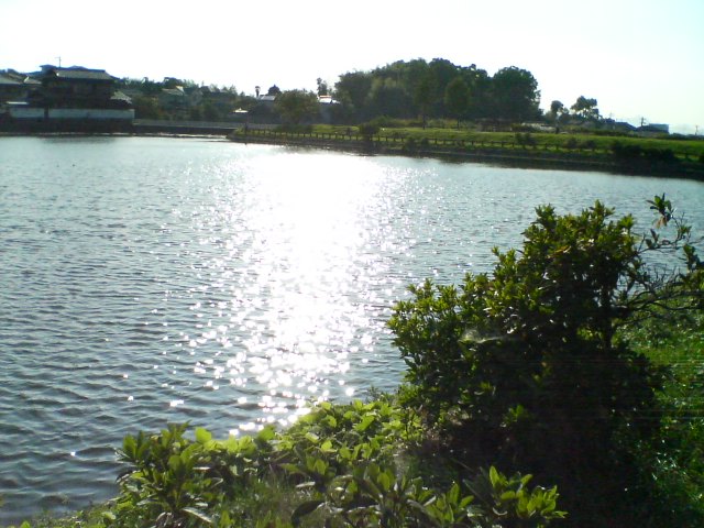 f0077595_103652.jpg