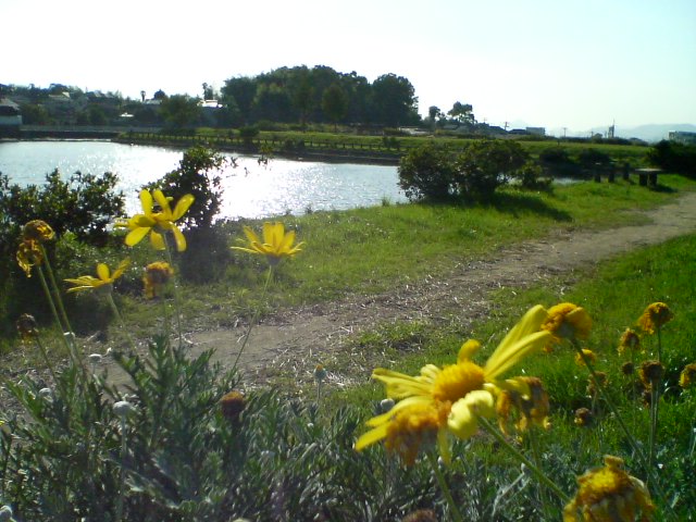 f0077595_103688.jpg