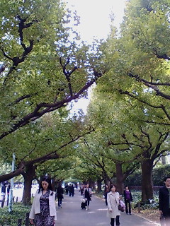 f0138995_1830858.jpg
