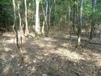 e0083097_19353198.jpg