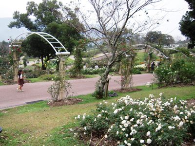 d0018704_22563879.jpg