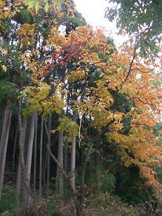 c0170905_217571.jpg