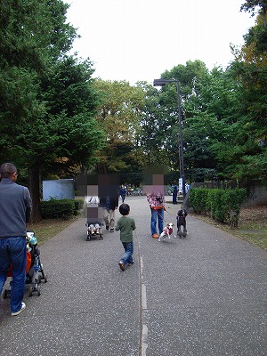 e0145805_12452650.jpg