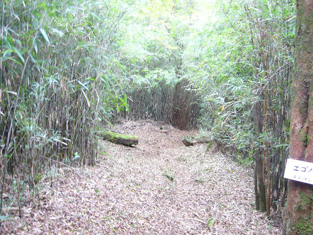 e0015108_17255085.jpg
