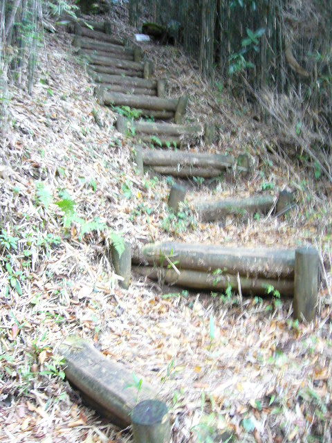 e0015108_17282866.jpg