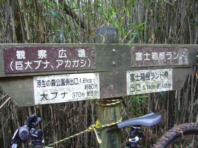 e0015108_1733324.jpg