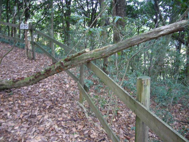 e0015108_17362669.jpg
