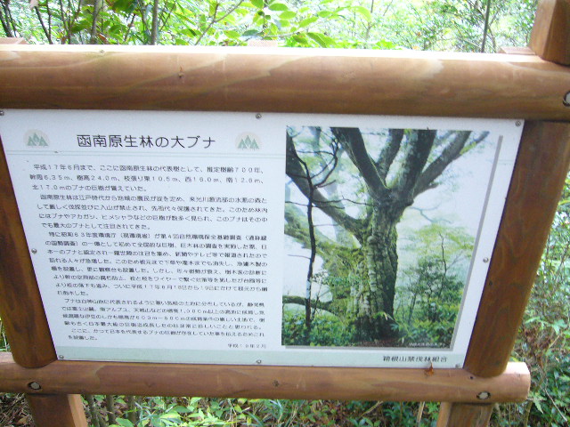 e0015108_17371040.jpg