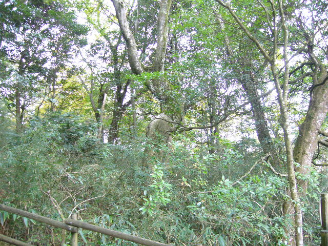 e0015108_17441654.jpg