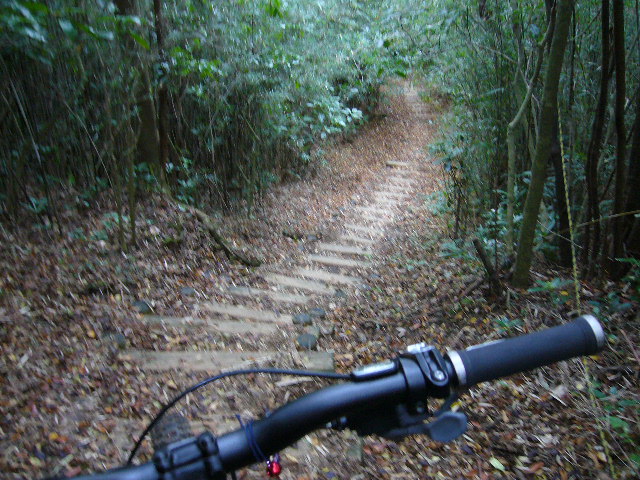 e0015108_17484639.jpg