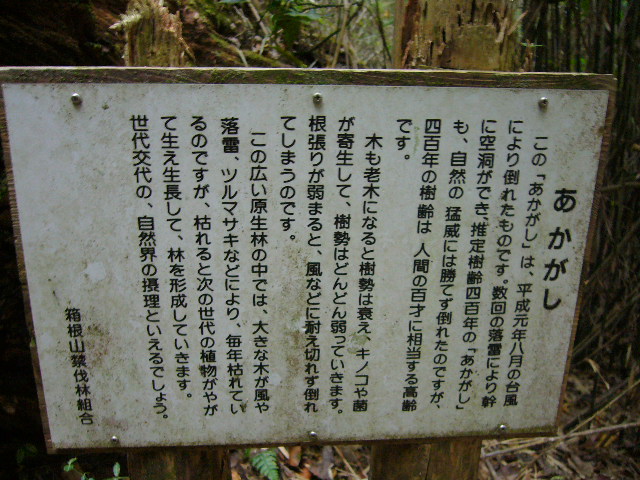 e0015108_17511477.jpg
