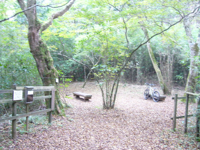e0015108_17552415.jpg