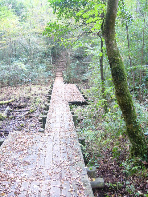 e0015108_17591117.jpg