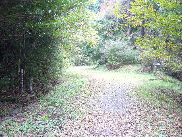 e0015108_1835382.jpg