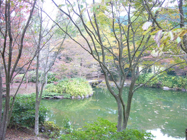 e0015108_1844151.jpg