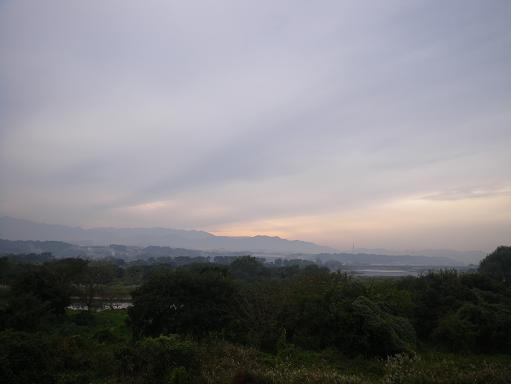 e0123808_1755745.jpg