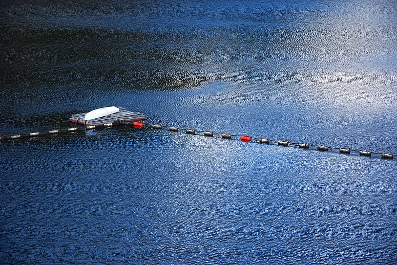 b0128609_1542878.jpg