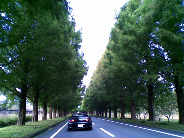 d0016409_2532775.jpg