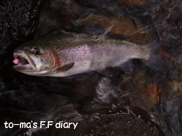 f0137709_2238238.jpg
