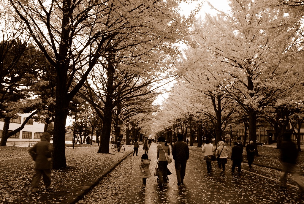 c0153411_19352438.jpg