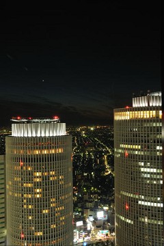 f0046614_10253210.jpg