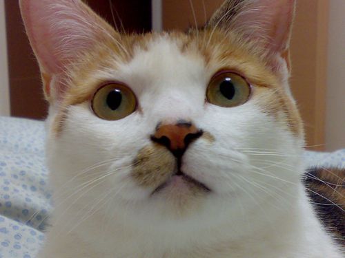 c0158916_171391.jpg