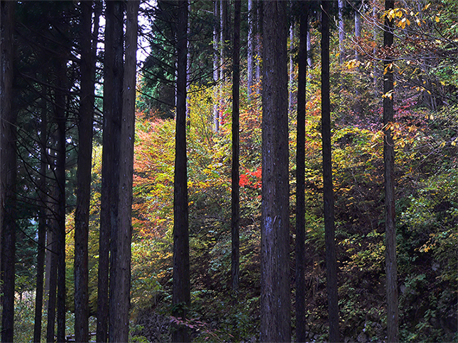 f0107517_17112837.jpg