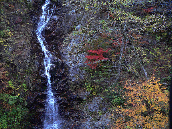 f0107517_17115271.jpg