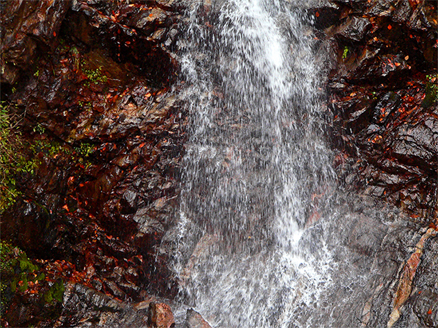 f0107517_17121410.jpg