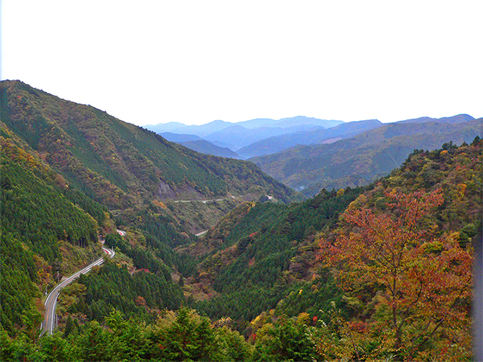 f0107517_1793649.jpg