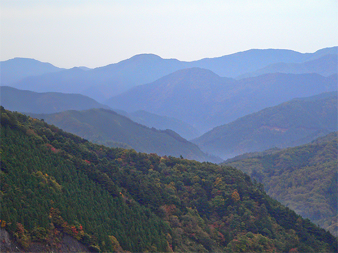 f0107517_1795756.jpg