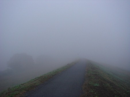 c0000718_1011321.jpg