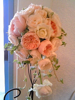 a0052621_19532265.jpg